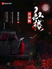 灵异版红楼封面