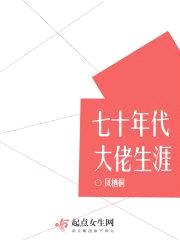 七十年代大佬生涯封面