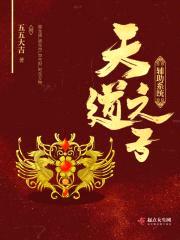 天道之子辅助系统封面