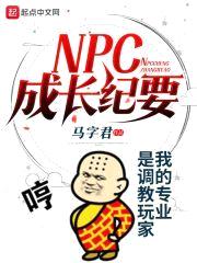 npc成长纪要封面