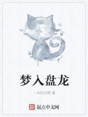 梦入盘龙封面