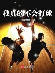 我真的不会打球封面