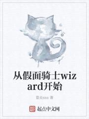 从假面骑士wizard开始封面