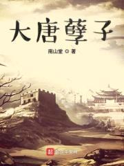 大唐孽子封面