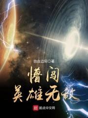 懵闯英雄无敌封面