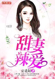 甜妻辣爱封面