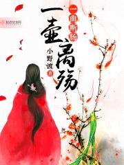 一壶离殇一曲断肠封面