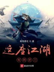 这座江湖有两把刀封面