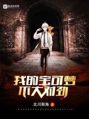 我的宝可梦不大对劲封面