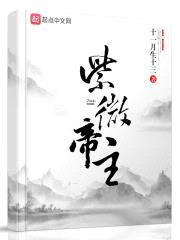 紫微帝主封面
