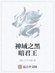 神域之黑暗君王封面