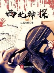 西北神探封面