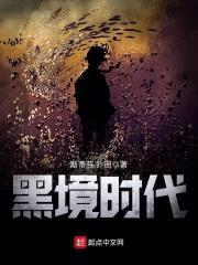 黑境时代封面