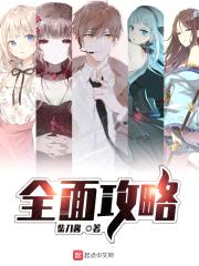 全面攻略封面