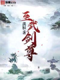 至武剑尊封面