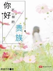 你好不一样的贵族封面