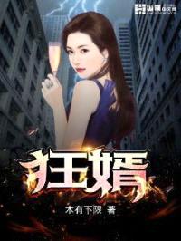 狂婿封面