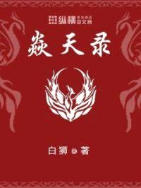焱天录封面