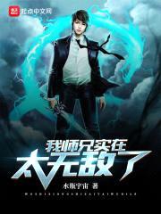 我师兄实在太无敌了封面
