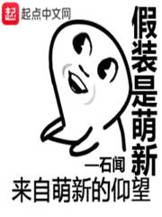 假装是萌新封面