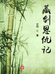 藏剑恩仇记封面