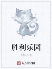 胜利乐园封面