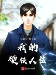 我的硬核人生封面