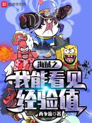 海贼之我能看见经验值封面