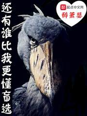 还有谁比我更懂盲选封面