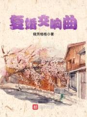 复婚交响曲封面