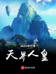 天界人皇封面