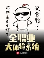 全职业大体验系统封面