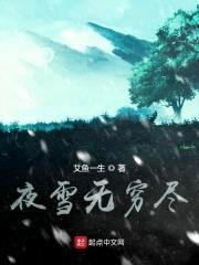 夜雪无穷尽封面