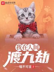 我在人间渡九劫封面