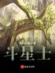斗星士封面