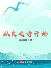 从火之寺开始封面