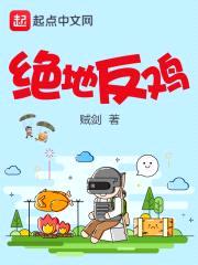 绝地反鸡封面