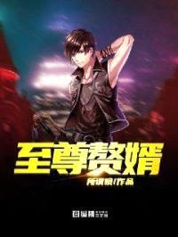 至尊赘婿封面