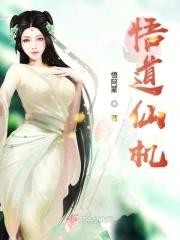 悟道仙机封面