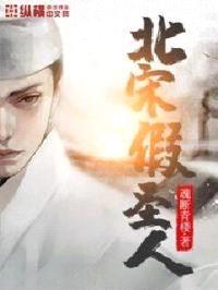 北宋假圣人封面