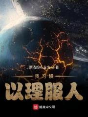 我习惯以理服人封面
