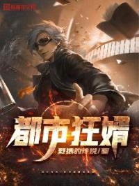 都市狂婿封面
