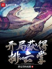 开局获得排云掌封面