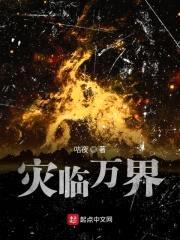 灾临万界封面
