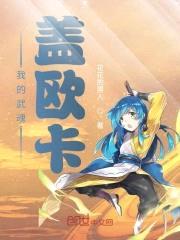 我的武魂盖欧卡封面