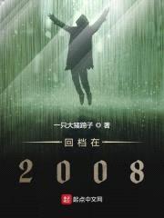 回档在2008封面