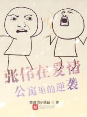 张伟在爱情公寓里的逆袭封面