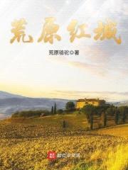 荒原红城封面