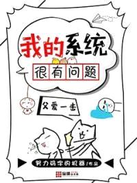 我的系统很有问题封面