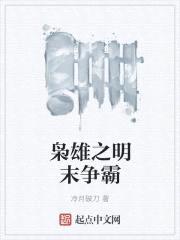 枭雄之明末争霸封面